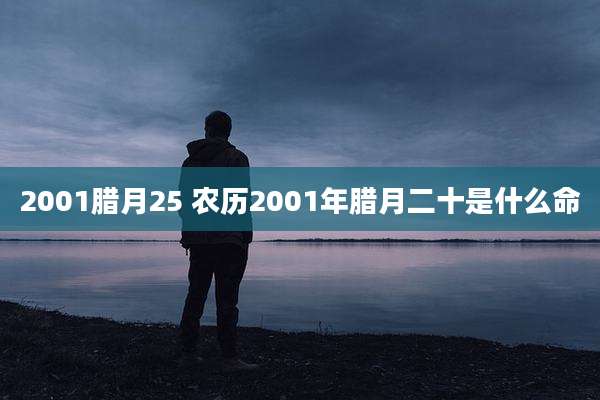2001腊月25 农历2001年腊月二十是什么命