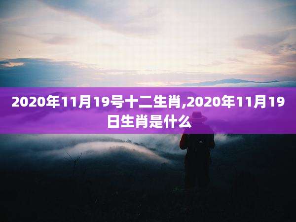 2020年11月19号十二生肖,2020年11月19日生肖是什么
