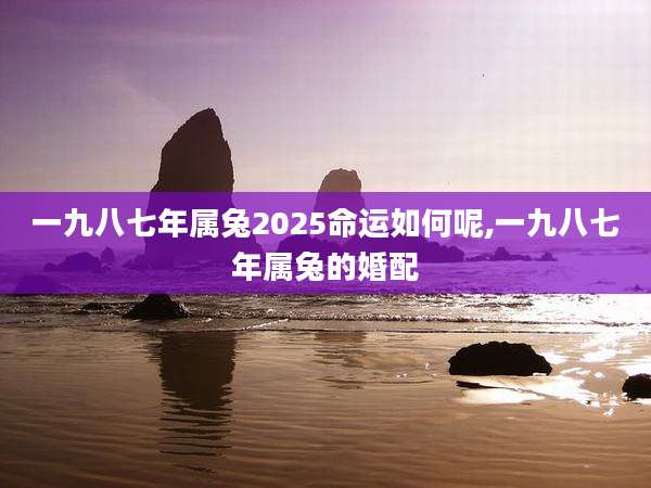 一九八七年属兔2025命运如何呢,一九八七年属兔的婚配