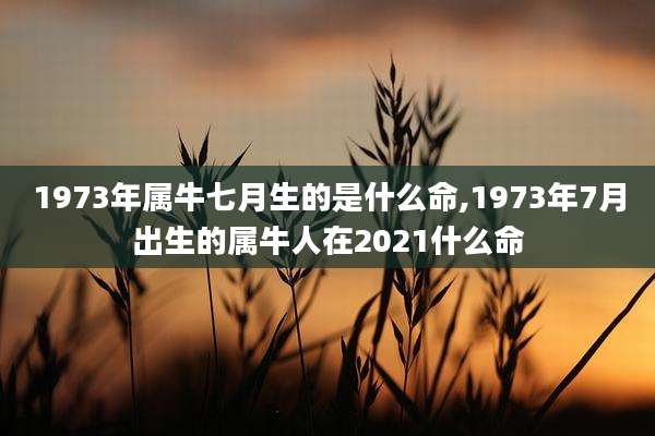 1973年属牛七月生的是什么命,1973年7月出生的属牛人在2021什么命