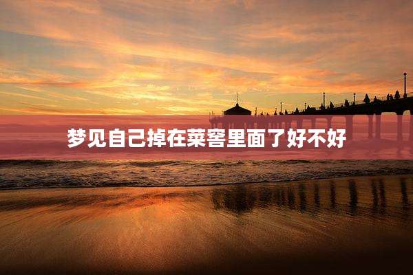 梦见自己掉在菜窖里面了好不好