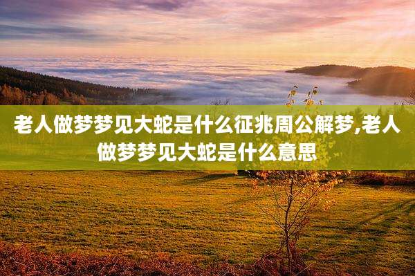 老人做梦梦见大蛇是什么征兆周公解梦,老人做梦梦见大蛇是什么意思