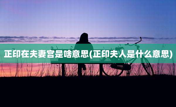 正印在夫妻宫是啥意思(正印夫人是什么意思)