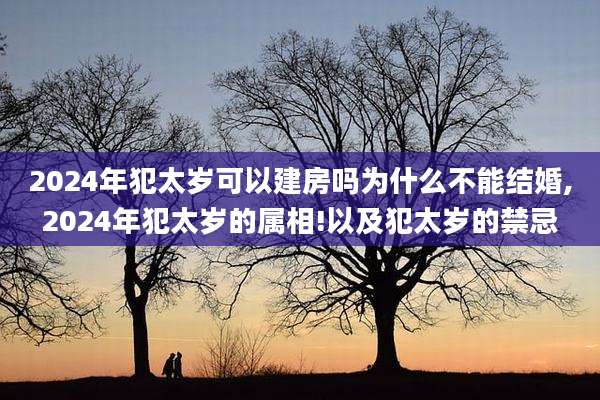 2024年犯太岁可以建房吗为什么不能结婚,2024年犯太岁的属相!以及犯太岁的禁忌