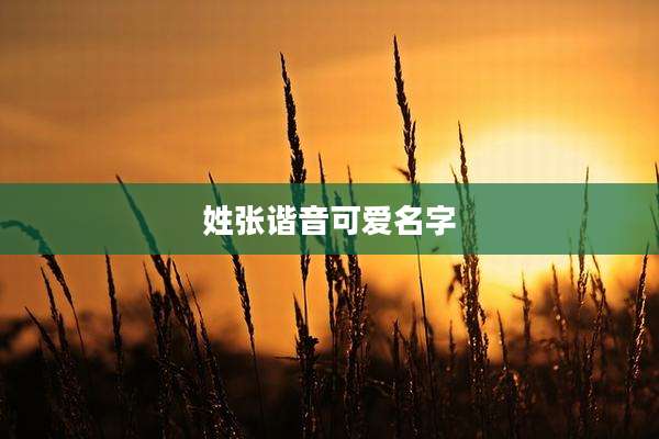 姓张谐音可爱名字