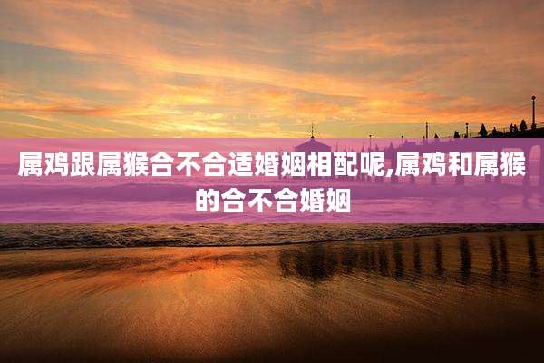 属鸡跟属猴合不合适婚姻相配呢,属鸡和属猴的合不合婚姻