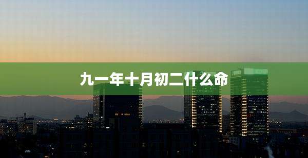 九一年十月初二什么命