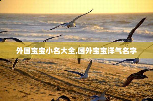 外国宝宝小名大全,国外宝宝洋气名字