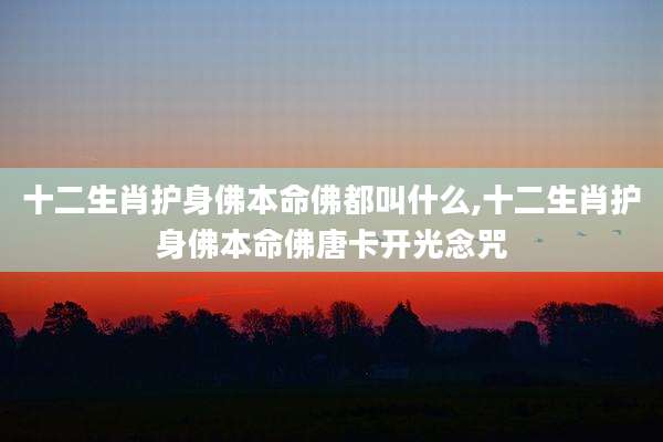 十二生肖护身佛本命佛都叫什么,十二生肖护身佛本命佛唐卡开光念咒