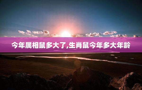 今年属相鼠多大了,生肖鼠今年多大年龄
