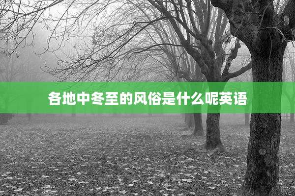 各地中冬至的风俗是什么呢英语