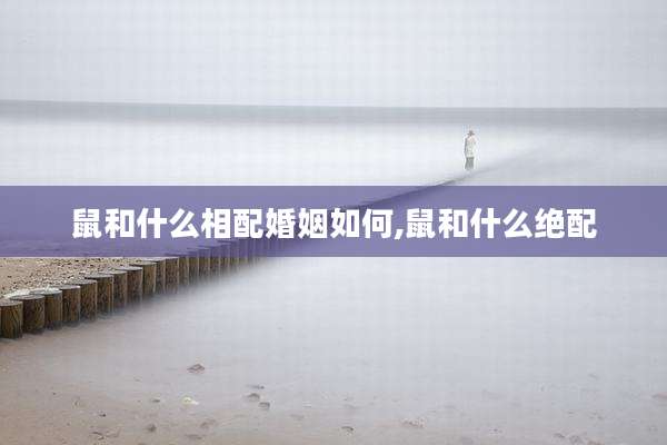 鼠和什么相配婚姻如何,鼠和什么绝配