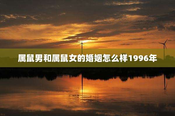 属鼠男和属鼠女的婚姻怎么样1996年