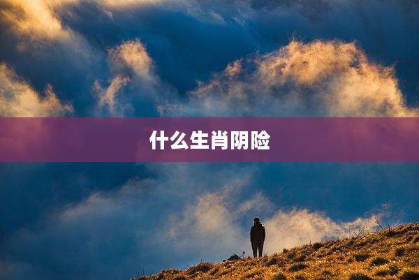 什么生肖阴险