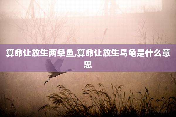 算命让放生两条鱼,算命让放生乌龟是什么意思