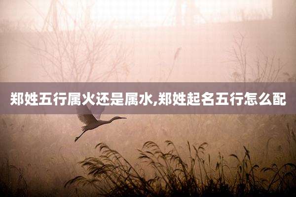 郑姓五行属火还是属水,郑姓起名五行怎么配