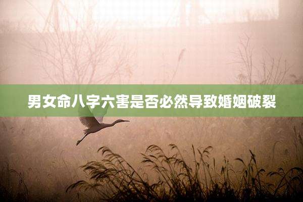 男女命八字六害是否必然导致婚姻破裂