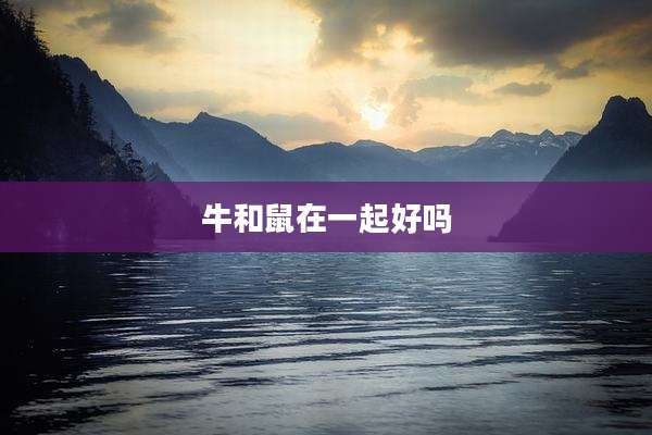 牛和鼠在一起好吗