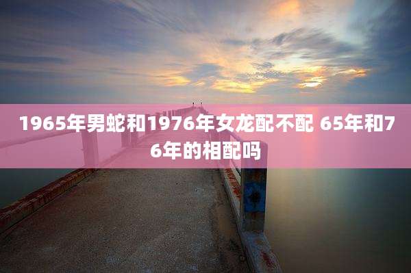 1965年男蛇和1976年女龙配不配 65年和76年的相配吗