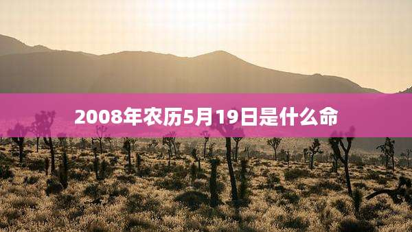 2008年农历5月19日是什么命