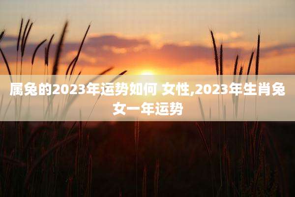 属兔的2023年运势如何 女性,2023年生肖兔女一年运势