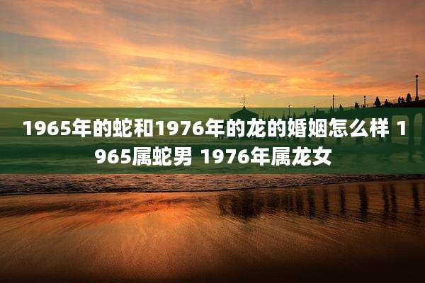 1965年的蛇和1976年的龙的婚姻怎么样 1965属蛇男 1976年属龙女