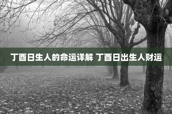 丁酉日生人的命运详解 丁酉日出生人财运