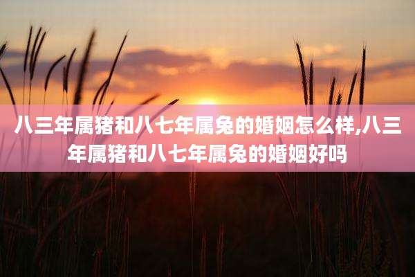 八三年属猪和八七年属兔的婚姻怎么样,八三年属猪和八七年属兔的婚姻好吗