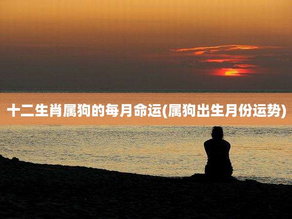 十二生肖属狗的每月命运(属狗出生月份运势)