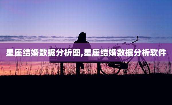 星座结婚数据分析图,星座结婚数据分析软件