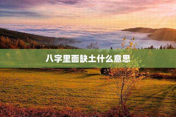 八字里面缺土什么意思