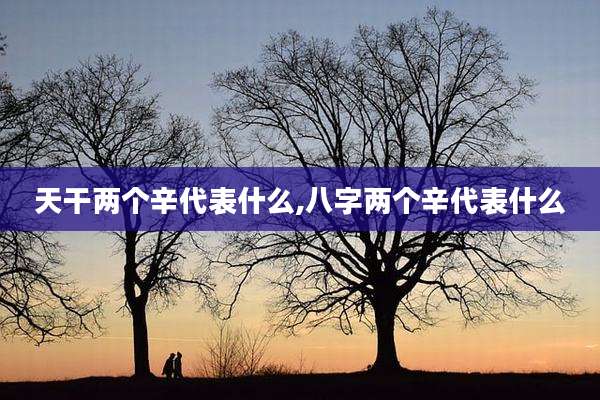 天干两个辛代表什么,八字两个辛代表什么