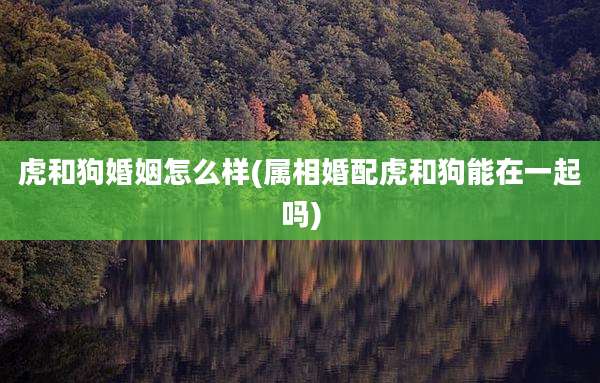 虎和狗婚姻怎么样(属相婚配虎和狗能在一起吗)