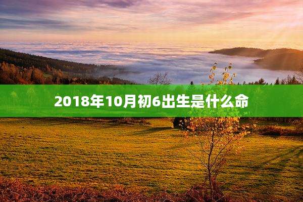 2018年10月初6出生是什么命