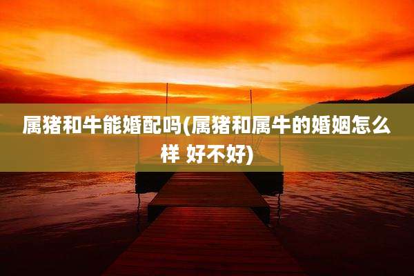 属猪和牛能婚配吗(属猪和属牛的婚姻怎么样 好不好)