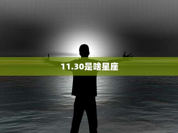 11.30是啥星座