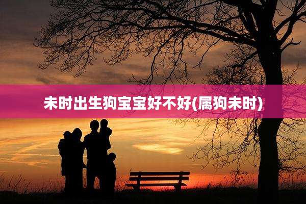 未时出生狗宝宝好不好(属狗未时)