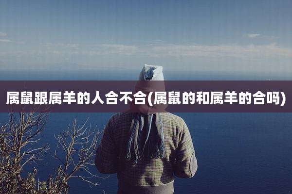 属鼠跟属羊的人合不合(属鼠的和属羊的合吗)