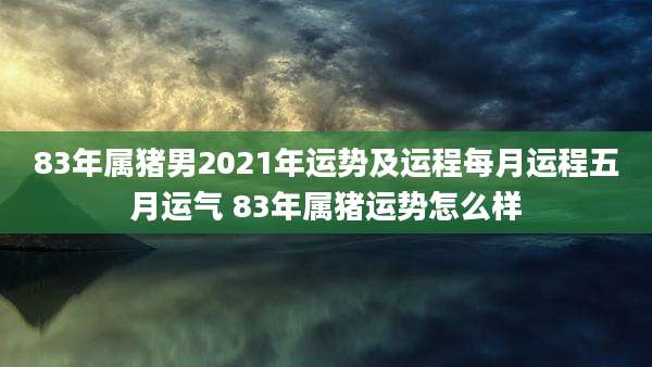 83年属猪男2021年运势及运程每月运程五月运气 83年属猪运势怎么样