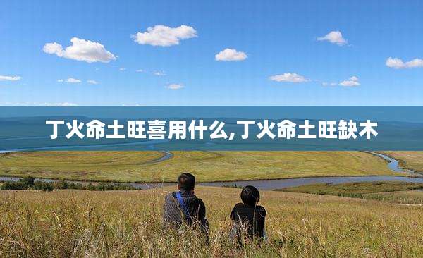 丁火命土旺喜用什么,丁火命土旺缺木