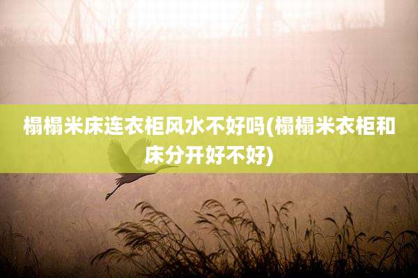 榻榻米床连衣柜风水不好吗(榻榻米衣柜和床分开好不好)