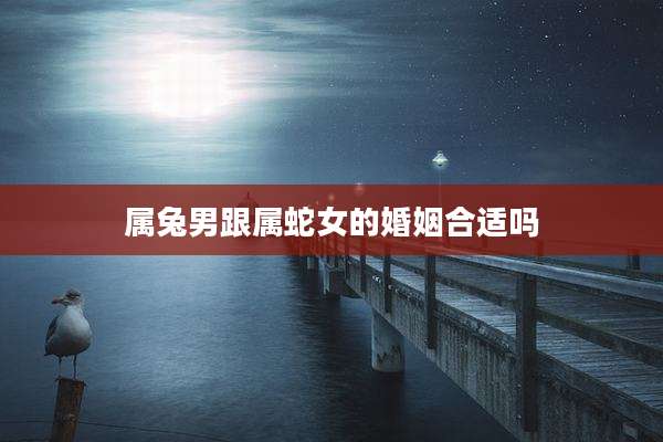 属兔男跟属蛇女的婚姻合适吗