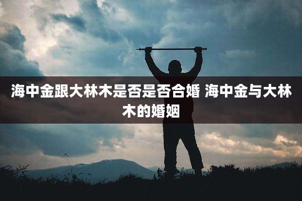 海中金跟大林木是否是否合婚 海中金与大林木的婚姻
