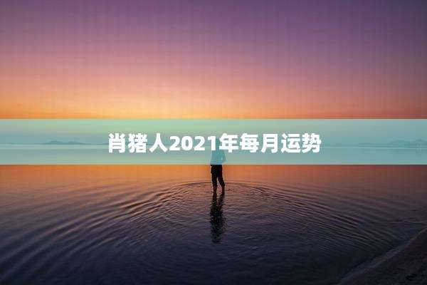 肖猪人2021年每月运势