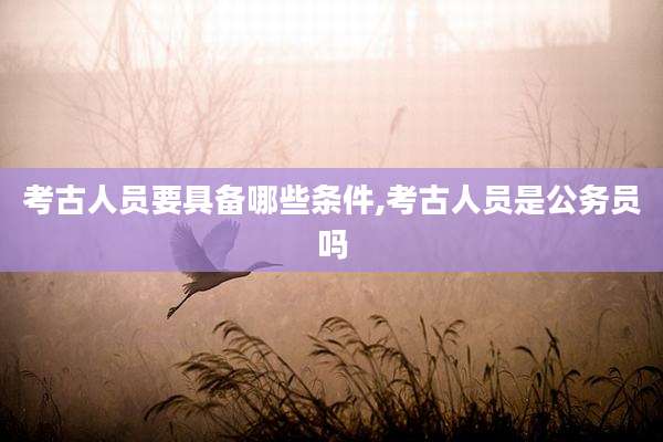 考古人员要具备哪些条件,考古人员是公务员吗