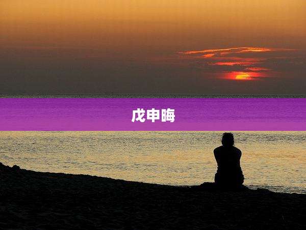 戊申晦
