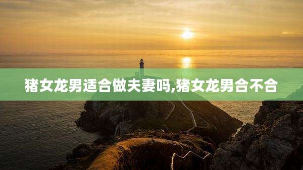 猪女龙男适合做夫妻吗,猪女龙男合不合