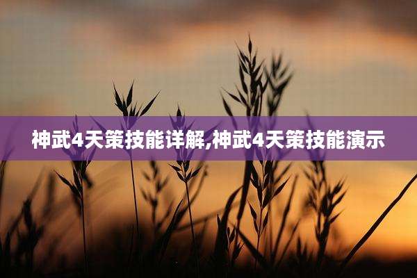 神武4天策技能详解,神武4天策技能演示