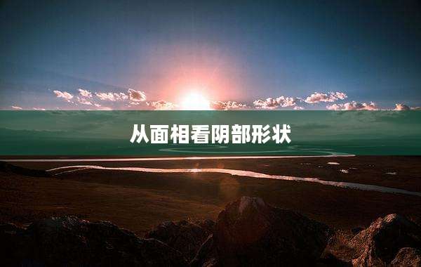 从面相看***形状