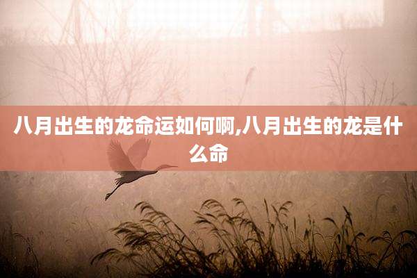 八月出生的龙命运如何啊,八月出生的龙是什么命